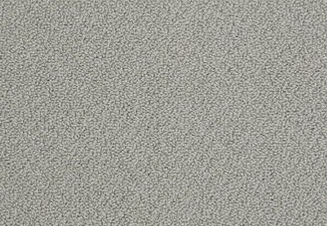 Anderson Tuftex Carpet On Point Driftwood