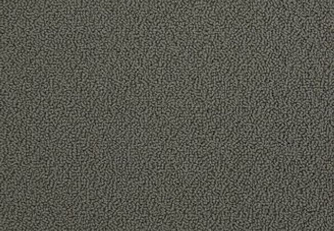 Anderson Tuftex Carpet On Point Earth