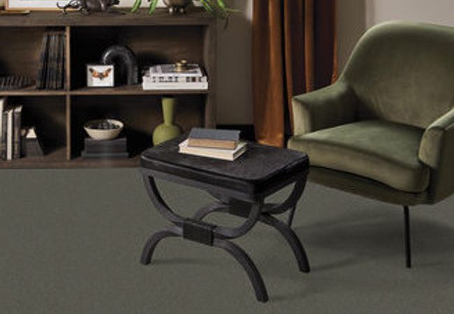 Anderson Tuftex Carpet On Point Earth view 2