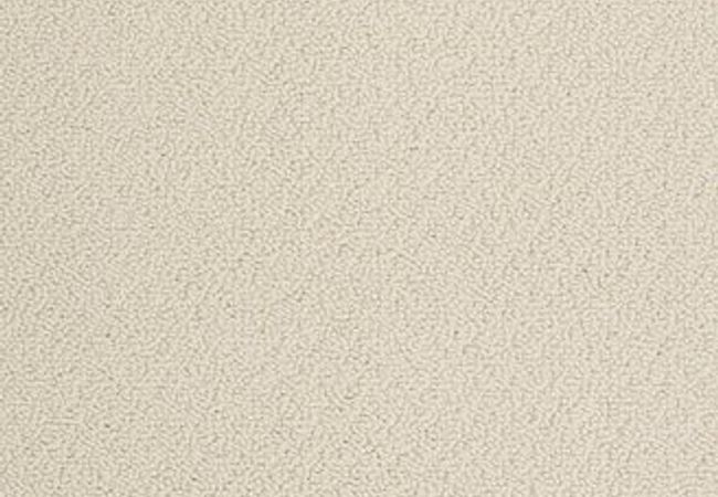 Anderson Tuftex Carpet On Point Euro Linen