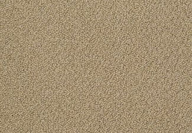 Anderson Tuftex Carpet On Point Gilt