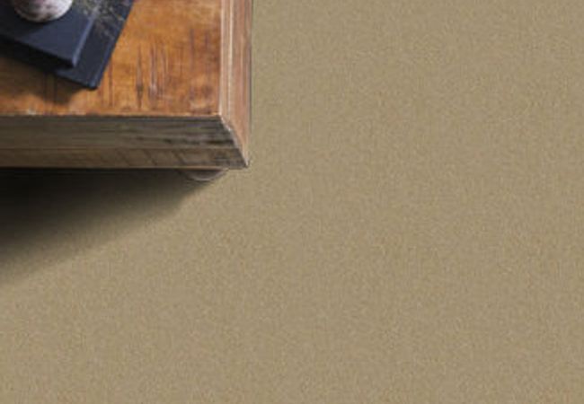 Anderson Tuftex Carpet On Point Gilt view 2