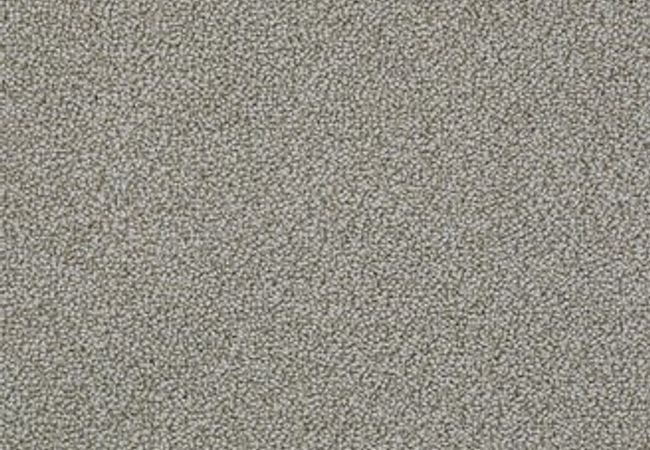 Anderson Tuftex Carpet On Point Graystone