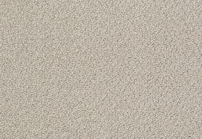 Anderson Tuftex Carpet On Point Raffia