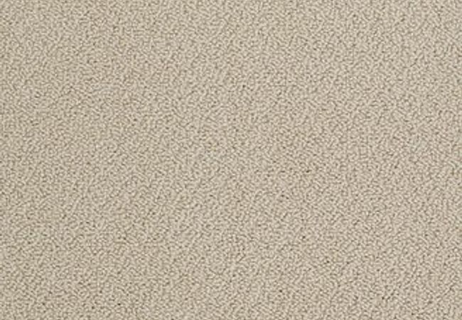 Anderson Tuftex Carpet On Point Sandpiper
