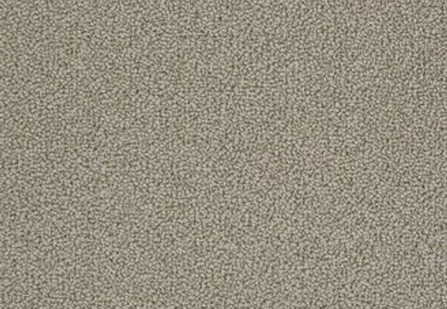 Anderson Tuftex Carpet On Point Taupestone