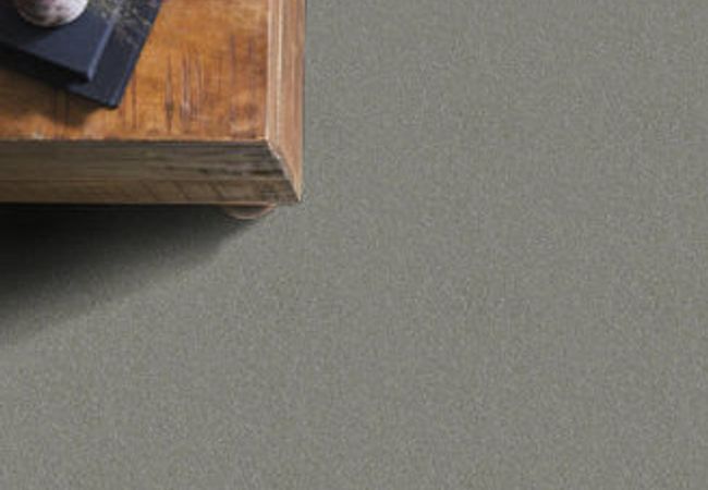 Anderson Tuftex Carpet On Point Tundra view 2