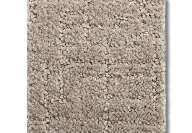 Anderson Tuftex Carpet One More Hour Birchwood