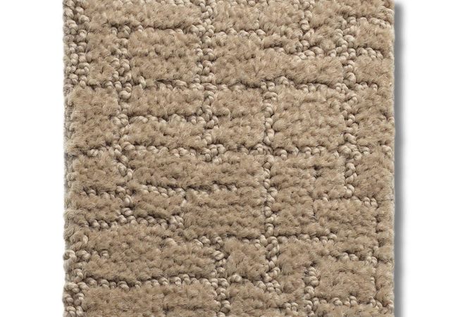 Anderson Tuftex Carpet One More Hour Desert Sand