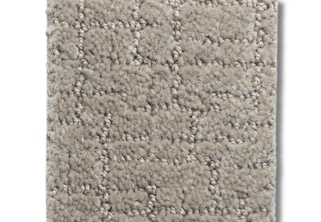 Anderson Tuftex Carpet One More Hour Moonrock