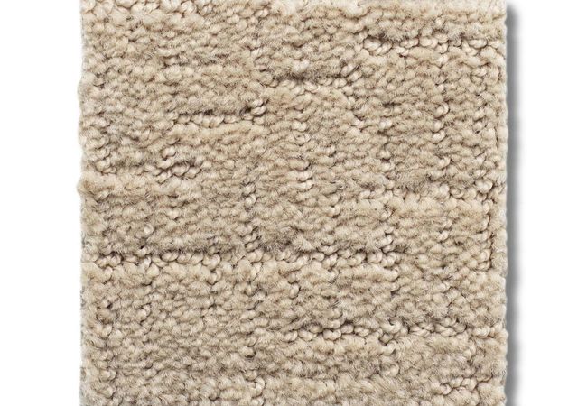 Anderson Tuftex Carpet One More Hour Muslin