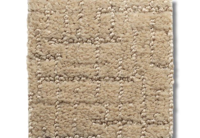 Anderson Tuftex Carpet One More Hour Pale