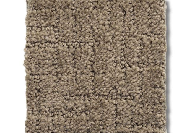 Anderson Tuftex Carpet One More Hour Porous Stone