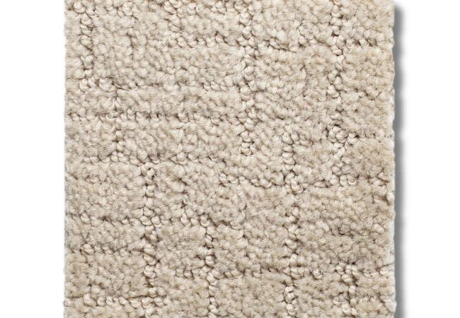 Anderson Tuftex Carpet One More Hour Silk