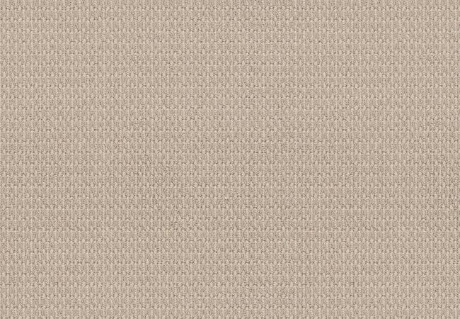 Anderson Tuftex Carpet One More Hour Soft Ivory