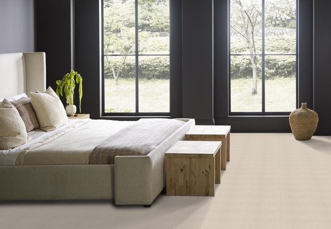 Anderson Tuftex Carpet One More Hour Soft Ivory view 3