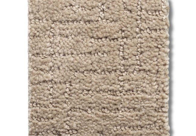 Anderson Tuftex Carpet One More Hour Tuscan