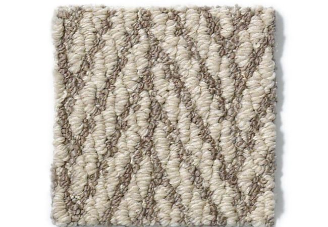 Anderson Tuftex Carpet Only Natural Atmosphere