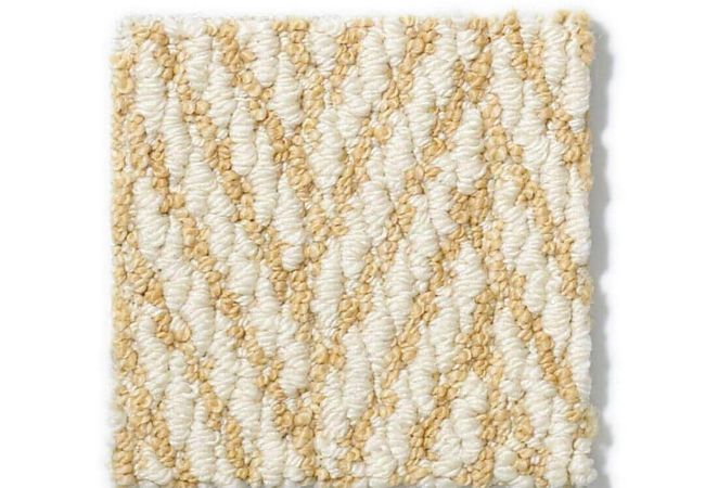 Anderson Tuftex Carpet Only Natural Fresh Citrus