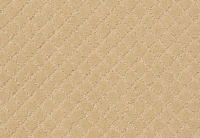 Anderson Tuftex Carpet Pawnache Cork
