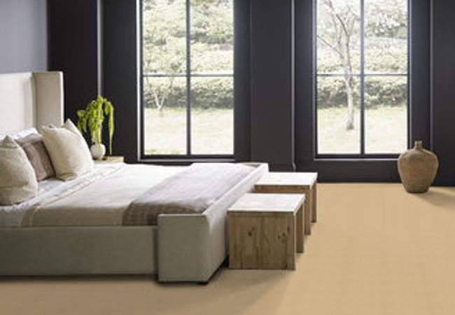 Anderson Tuftex Carpet Pawnache Cork view 3