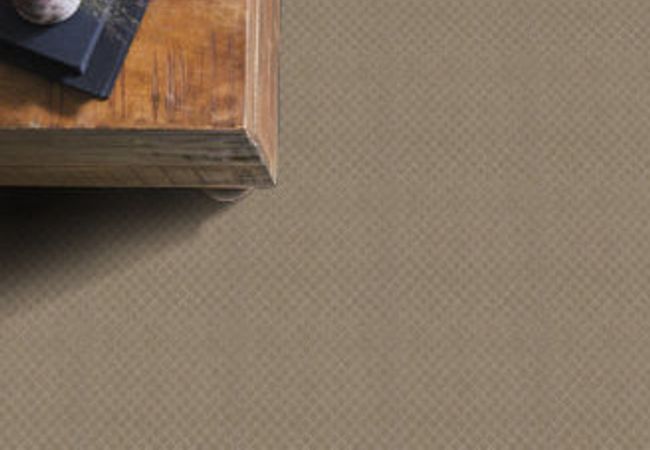 Anderson Tuftex Carpet Pawnache Driftwood view 2