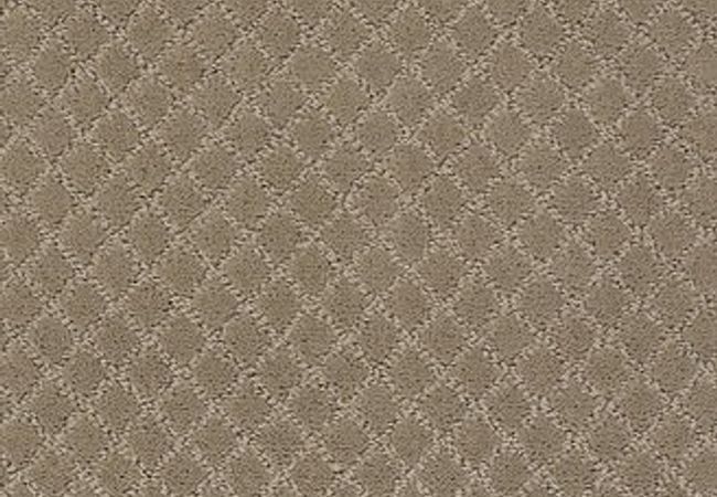 Anderson Tuftex Carpet Pawnache Driftwood