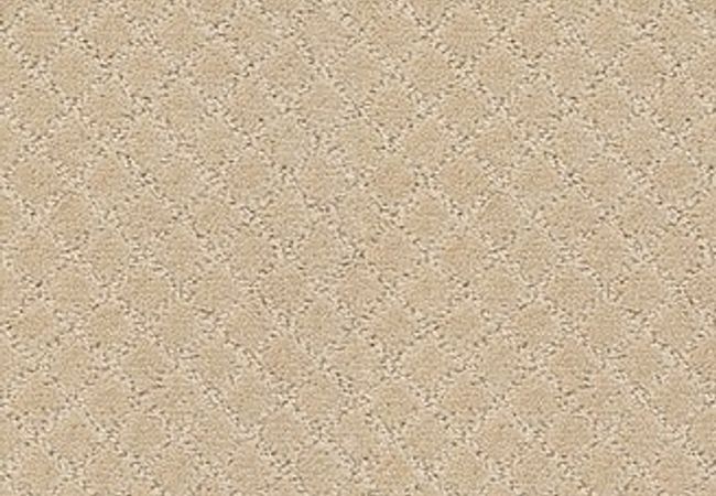 Anderson Tuftex Carpet Pawnache Hazelnut