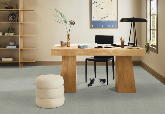 Anderson Tuftex Carpet Pawnache Misty Lake view 2