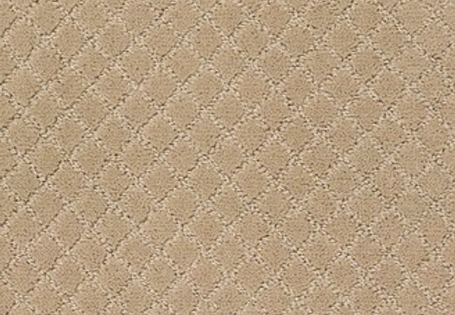 Anderson Tuftex Carpet Pawnache Monterey