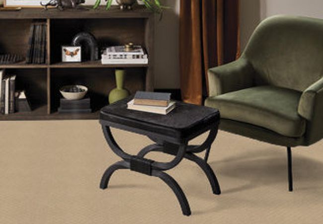 Anderson Tuftex Carpet Pawnache Monterey view 2