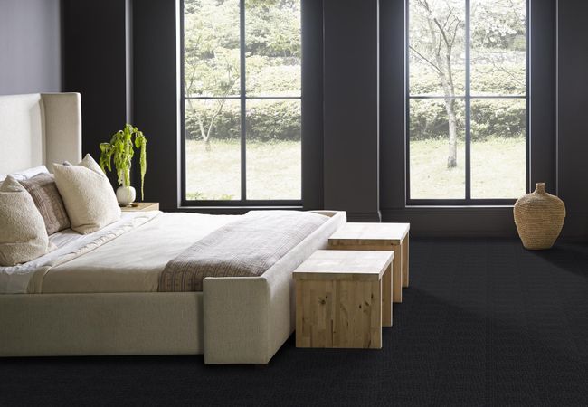 Anderson Tuftex Carpet Pawnache Night Shade view 3