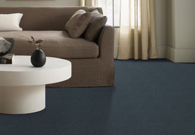 Anderson Tuftex Carpet Pawnache Nimbus view 2