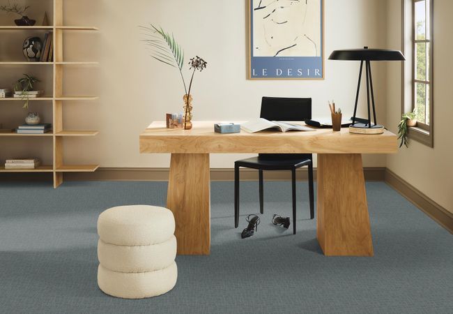 Anderson Tuftex Carpet Pawnache Steel Wool view 2