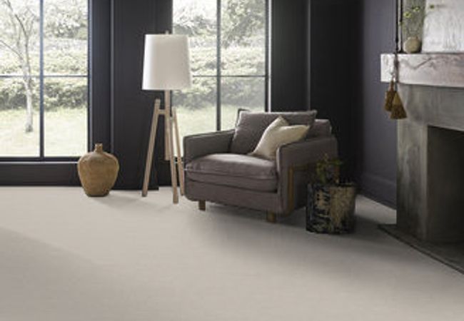Anderson Tuftex Carpet Pawparazzi I Calm view 2