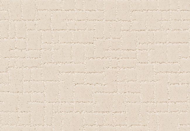 Anderson Tuftex Carpet Pawparazzi I Capri Coast