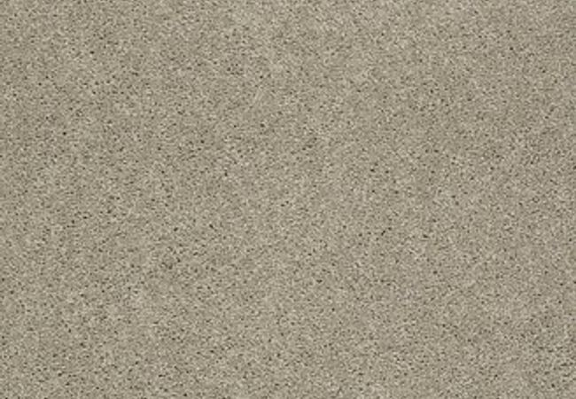 Anderson Tuftex Carpet Pawparazzi I Driftwood