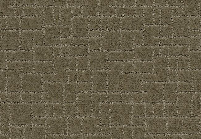 Anderson Tuftex Carpet Pawparazzi I Dry Sage