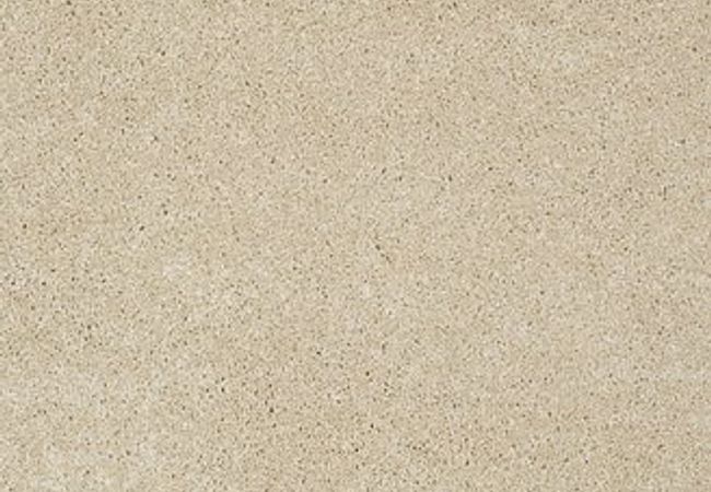 Anderson Tuftex Carpet Pawparazzi I Hazelnut