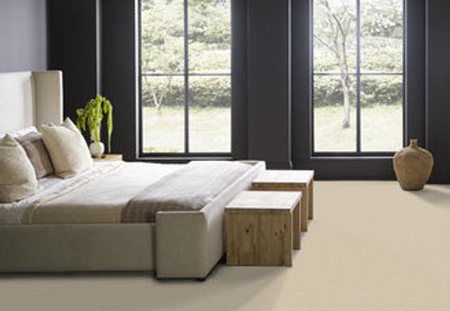 Anderson Tuftex Carpet Pawparazzi I Hazelnut view 3