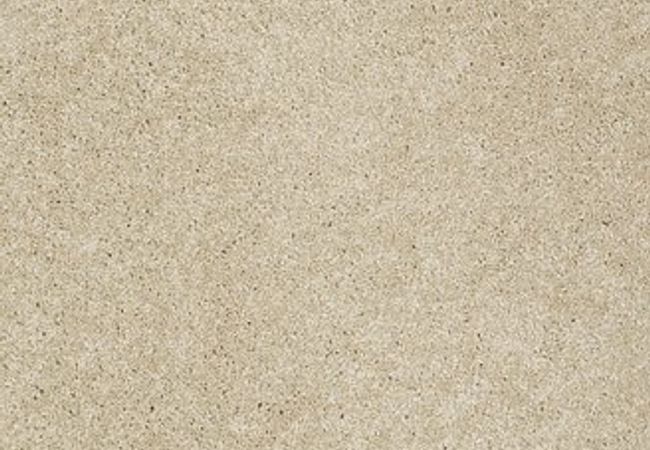 Anderson Tuftex Carpet Pawparazzi I Monterey