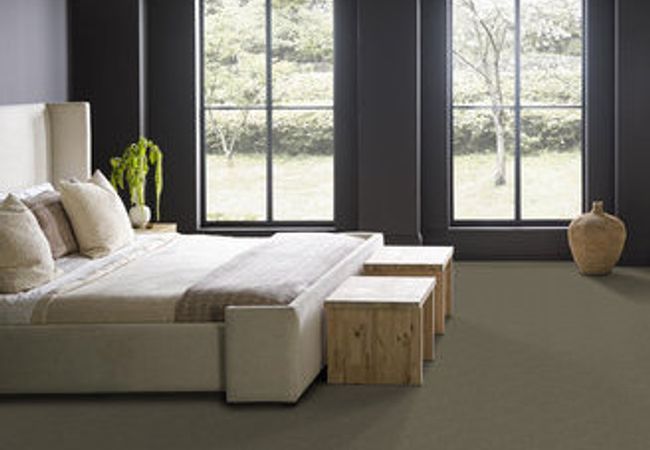 Anderson Tuftex Carpet Pawparazzi I Overcoat view 3