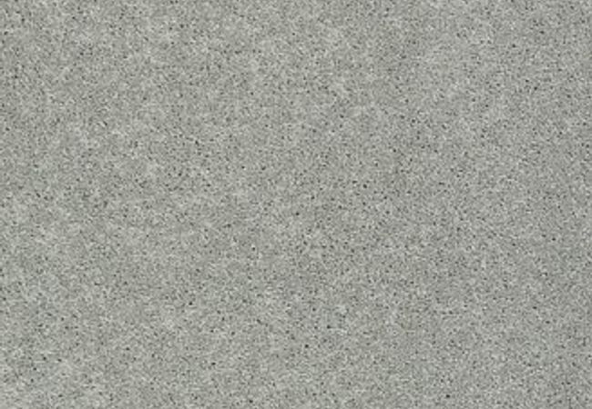 Anderson Tuftex Carpet Pawparazzi I Portland