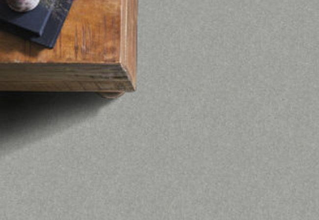 Anderson Tuftex Carpet Pawparazzi I Portland view 2