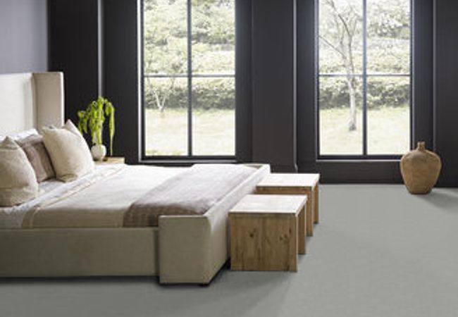 Anderson Tuftex Carpet Pawparazzi I Portland view 3