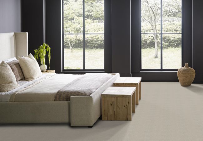 Anderson Tuftex Carpet Pawparazzi I Silver Fox view 3