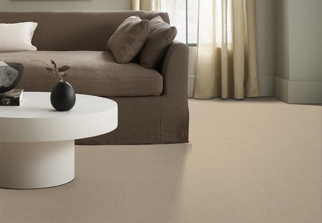 Anderson Tuftex Carpet Pawparazzi I Toffee Cream view 2