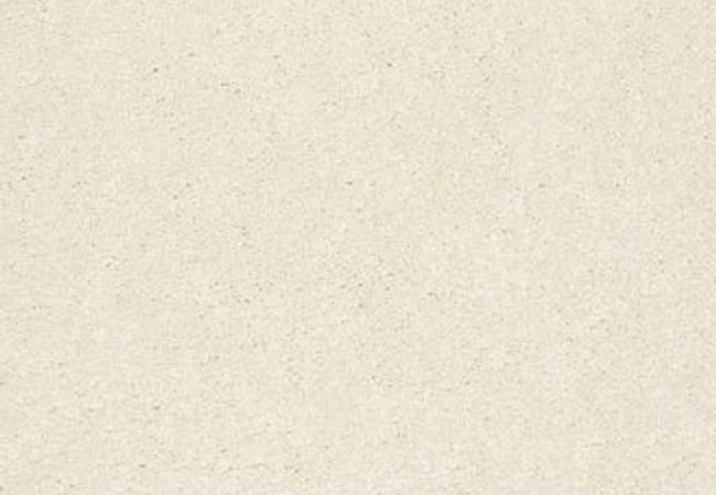 Anderson Tuftex Carpet Pawparazzi II Antiquity