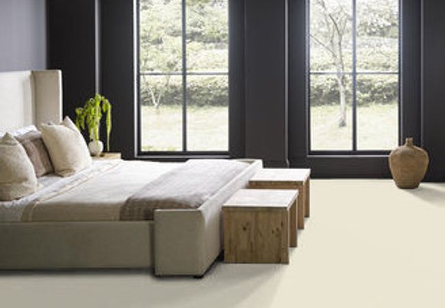 Anderson Tuftex Carpet Pawparazzi II Antiquity view 3