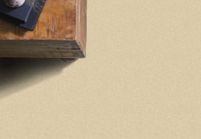 Anderson Tuftex Carpet Pawparazzi II Cork view 2